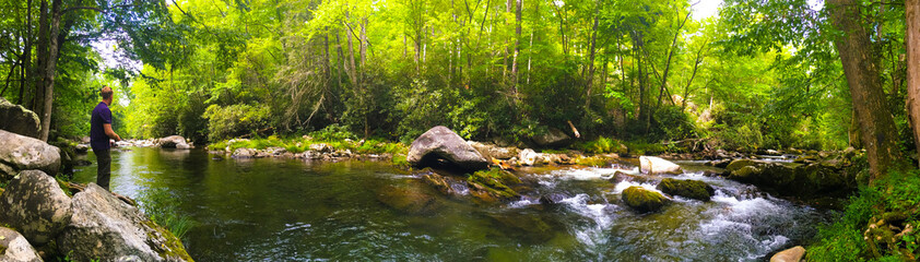 Fototapeta premium Smoky Mountains, Tenessee, fishing, nature, green, river, hiking, outdoors