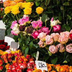 Flower arragements and bouquets of yellow, pink, red and orange roses for sale at florist stand with deep green leaves