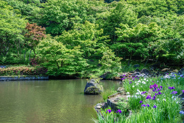 Obraz premium 虹の郷日本庭園