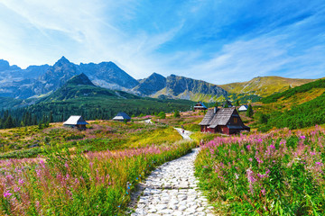 Fototapeta Gasienicowa Valley in Tatry mountains, Poland obraz