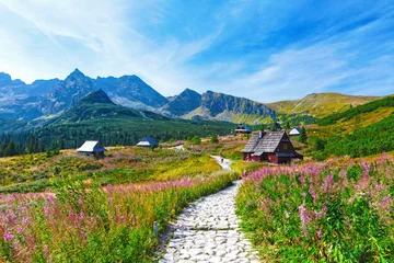 Fotobehang Tatra Gasienicowa-vallei in het Tatry-gebergte, Polen