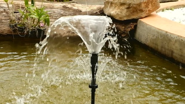 The fountain in the garden. Splashing water from a fountain in the garden.