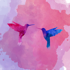 Fototapeta premium Hummingbird watercolor