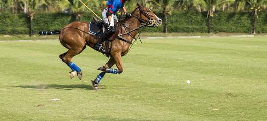 Horses Run In a Polo Game On Day time.