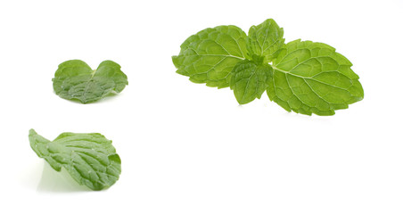mint leaves and drug isolated on white background