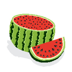 Half of red ripe sweet watermelon and slice of juicy watermelon isolated on white background. In style of pixel graphics. Concept of Hello Summer. Fruit abstract background, vector illustration