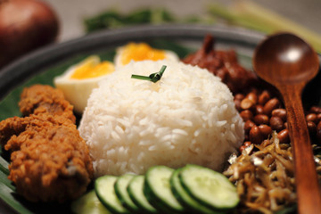 Asian food nasi lemak