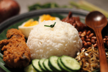 Asian food nasi lemak