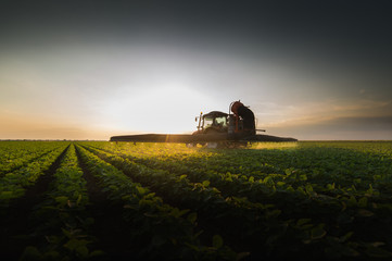 Naklejka premium Tractor spraying soybean field at spring