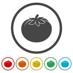 Tomato. Isolated vegetables icons set