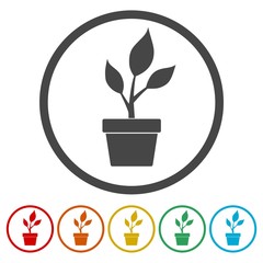 Young plant vector icons set