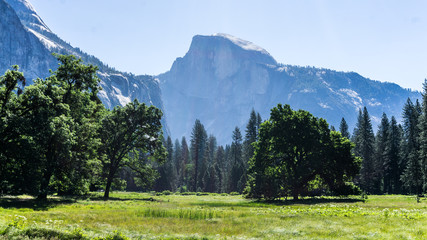 Yosemite National Park