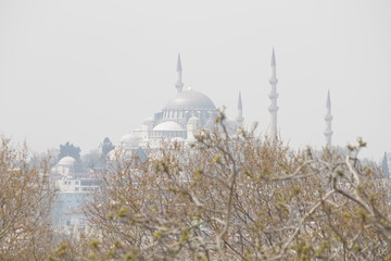 Sultanahmet Camii 2