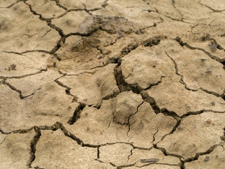 Dry soil in summer