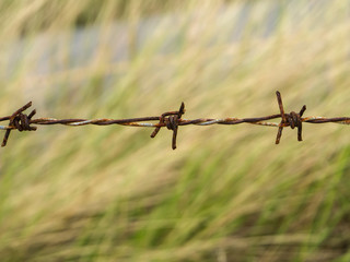 Close up of old barbed wire.