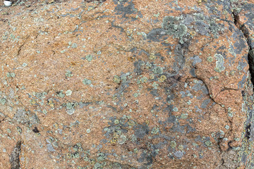 Granite rock with moss background. Background of stone surface. Textured processing hard stone.