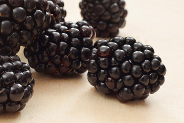 Brombeeren