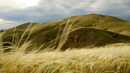 Yellow grass on a background of hills and a cloudy sky