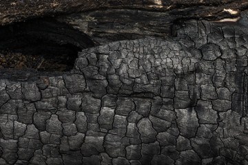 Fototapeta na wymiar Details on the surface of charcoal.