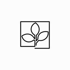 Leaf icon