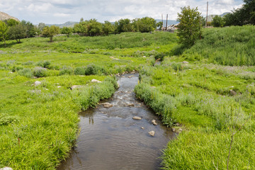 A stream flows through a green meadow.