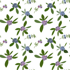 Blueberries vector seamless pattern.