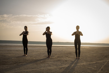 Fototapeta premium young women practicing yoga poses and asanas. Partner yoga, acrobatic yoga. Yoga class in black wear training in desert during sunset 