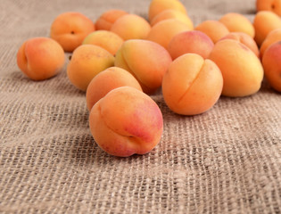 Apricots are on a table. Fruit are fresh, juicy, mature, .