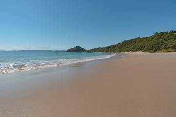 New Chum Beach, Coromandel, New Zealand., which has been voted as one of the world's top 10 beaches. 