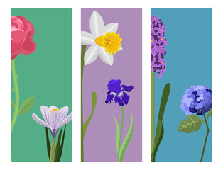 Beautiful spring flower botanical bloom painting cards branch petal decoration bouquet nature design vector illustration