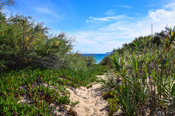 Fototapeta na wymiar Looking through the sand dunes towards the turquoise Atlantic Ocean in Porto Santo, Portugal