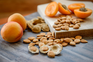 Apricot kernel and seed shells