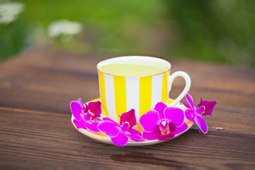 delicious green tea in a beautiful glass bowl on table