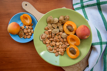 Apricot kernel and seed shells