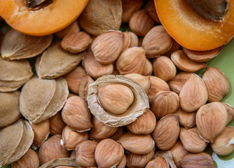 Apricot kernel and seed shells