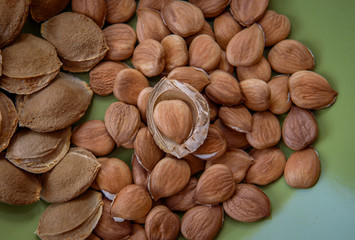 Apricot kernel and seed shells