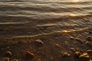 river reflection in beach summer scene