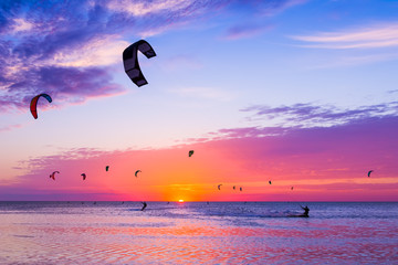 Kite-surfing against a beautiful sunset. Many silhouettes of kites in the sky. Holidays on nature. Artistic picture. Beauty world.