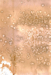 Stained paper texture