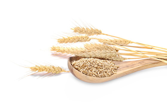 Oat grains, ears of wheat and wooden spoon isolated on white background