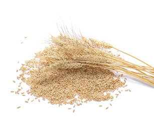 Oat grains and ears of wheat isolated on white background