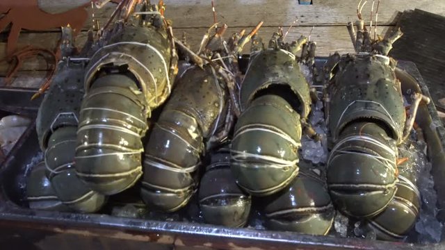 Lobsters Displayed on Ice in the Evening