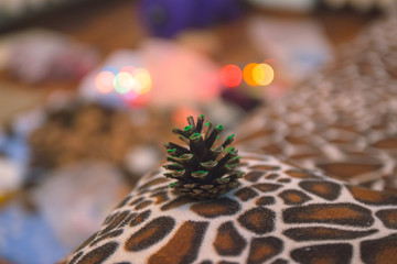 Home decoration, Dry pine cone