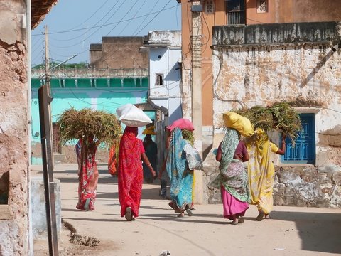 Groupe de femmes en sari portant des sacs et du foin sur la t&ecirc;te, en Inde