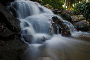 Obraz premium Waterfall forest scene