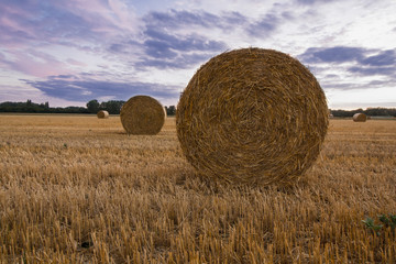 Strohballen nach der Ernte in der Abenddämmerung