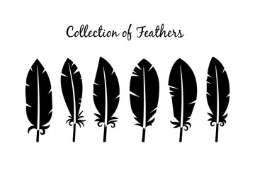 Set of black bird feathers 