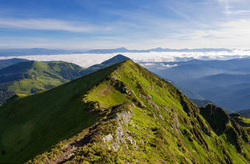Fototapeta premium Carpathian Mountains in the morning.