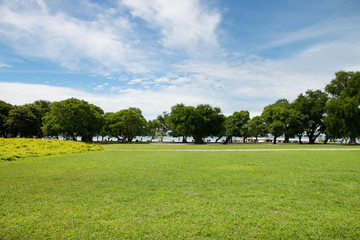 grass field and green environment public park