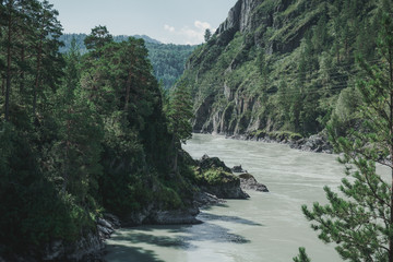Fototapeta na wymiar The river in the mountainous altai among the mountains